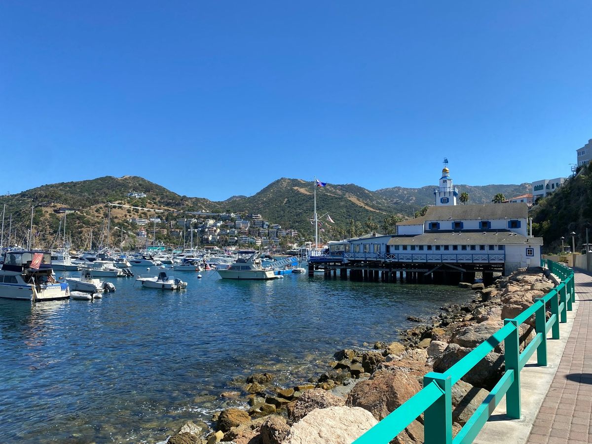 Avalon harbour on Catalina Island filled with boats on a sunny day