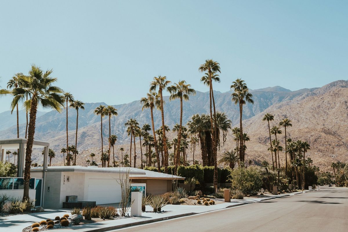 Palm Springs desert landscape with palm trees and mountains