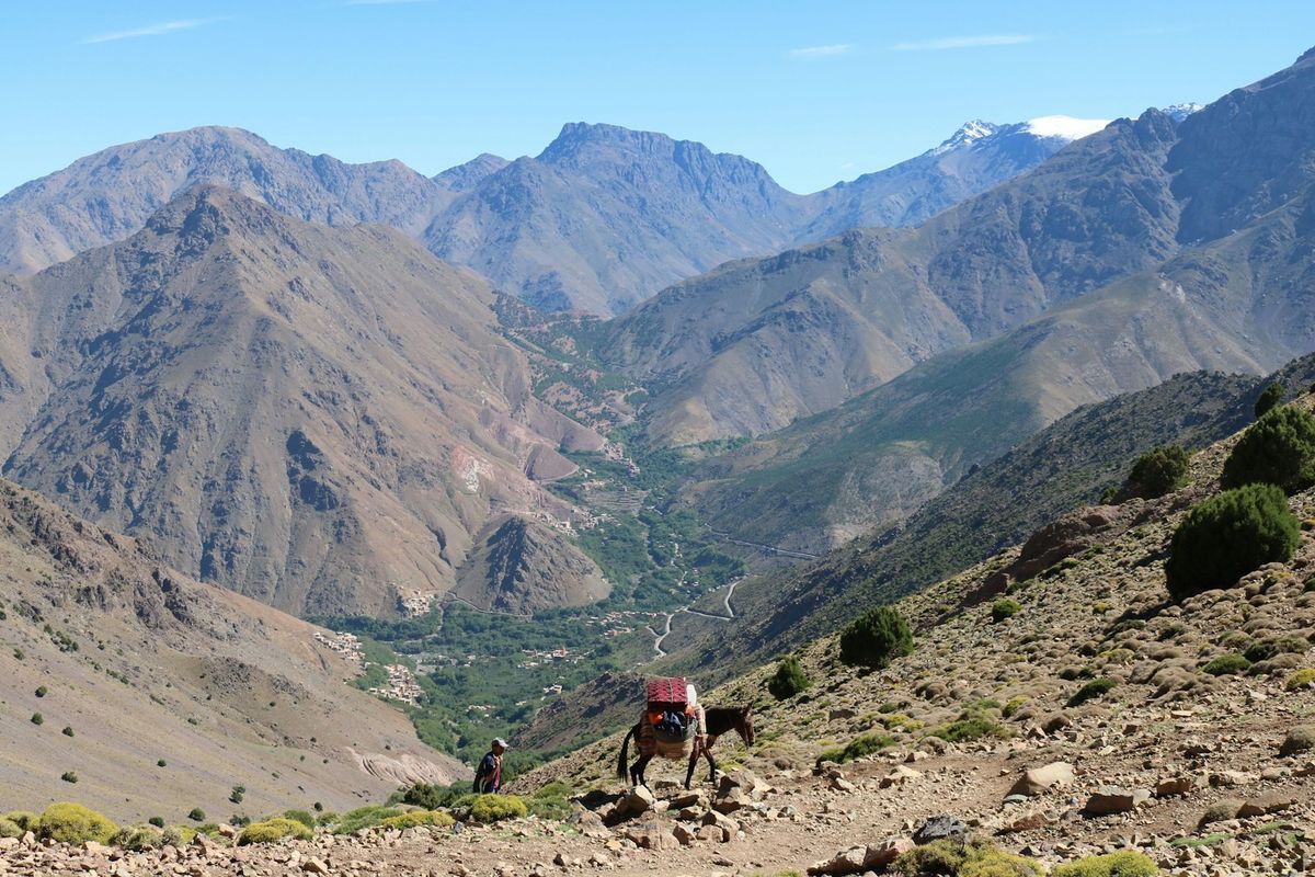Green valley in the Atlas Mountains near Marrakech, Morocco