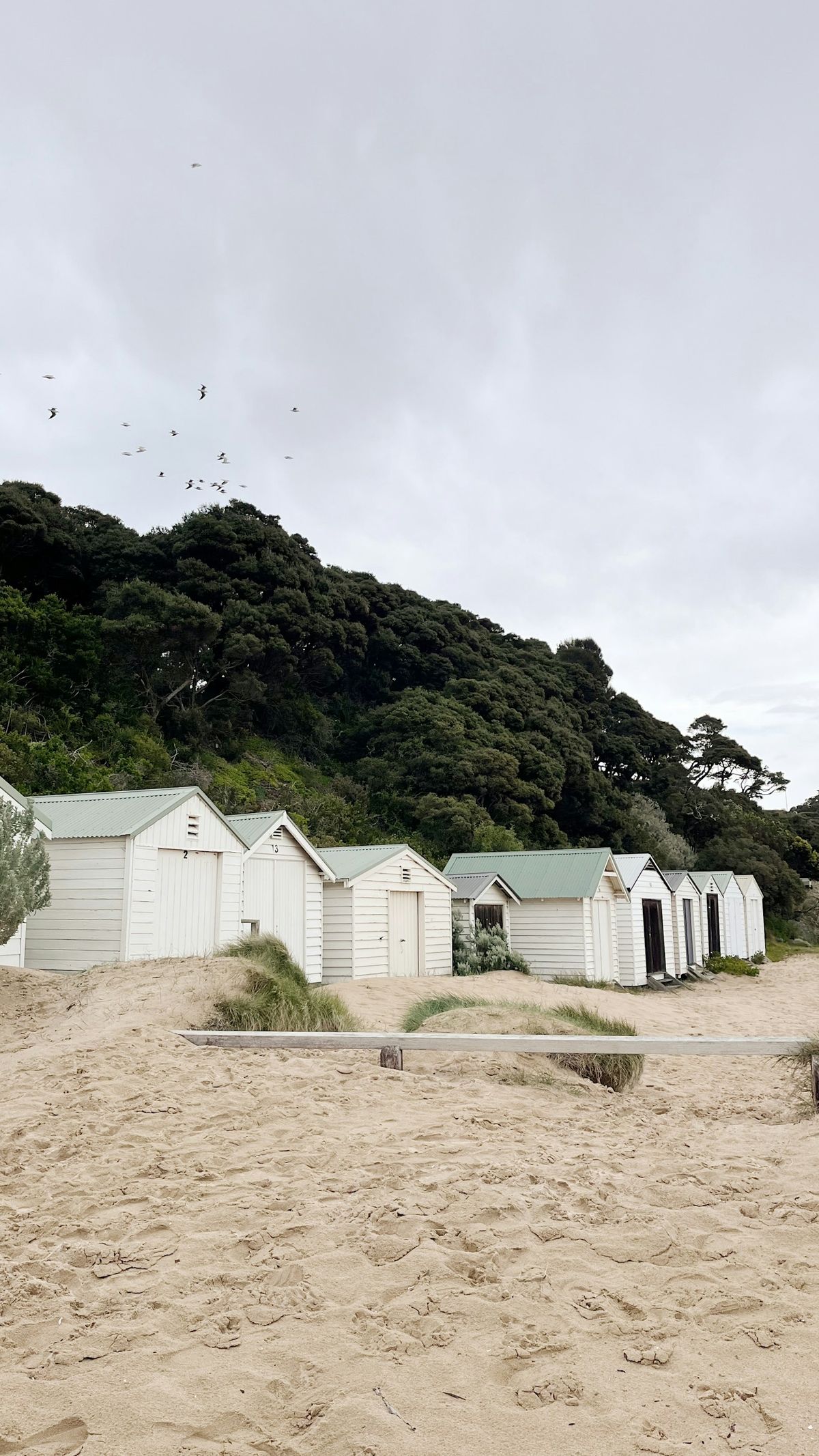 Colourful bathing boxes on the beach at the Mornington Peninsula