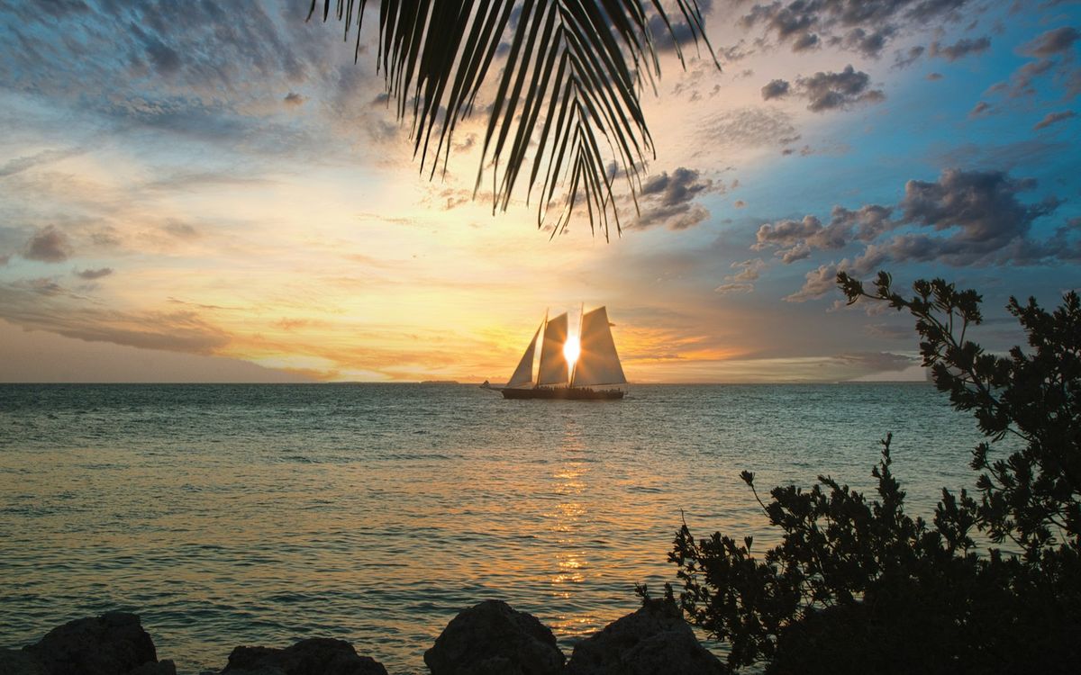 Palm tree silhouetted against a Key West sunset