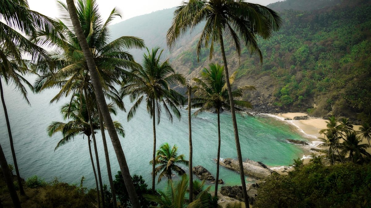 Tropical beach shoreline with palm trees in Goa India