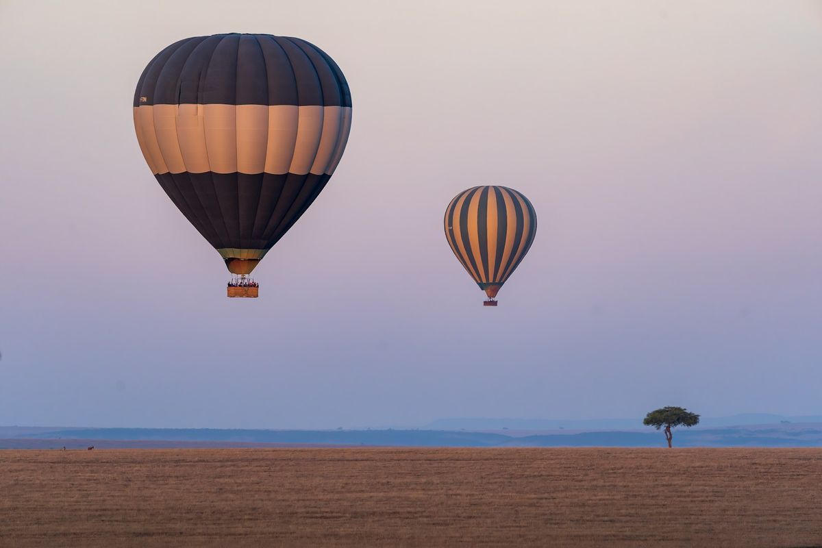 Hot air balloons over the Maasai Mara plains at sunrise, Kenya