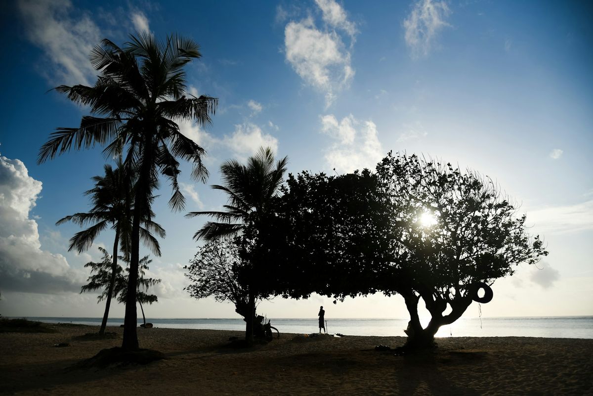 Palm trees on a tropical beach in Mombasa Kenya