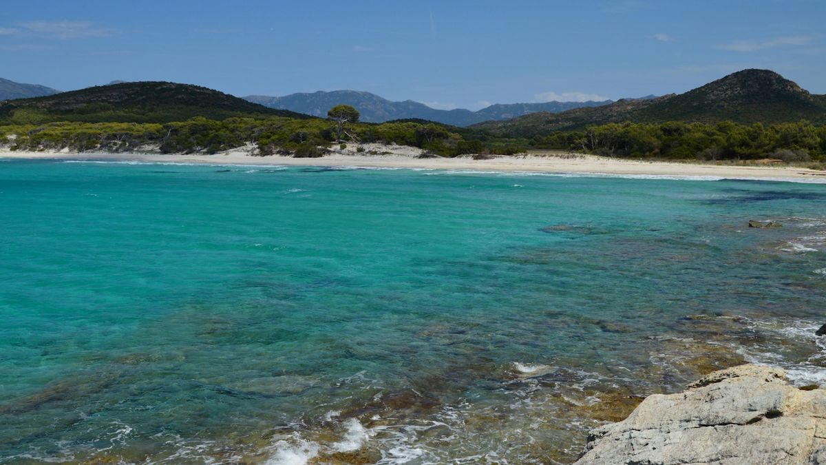 Turquoise sea and sandy beach on Corsica coast