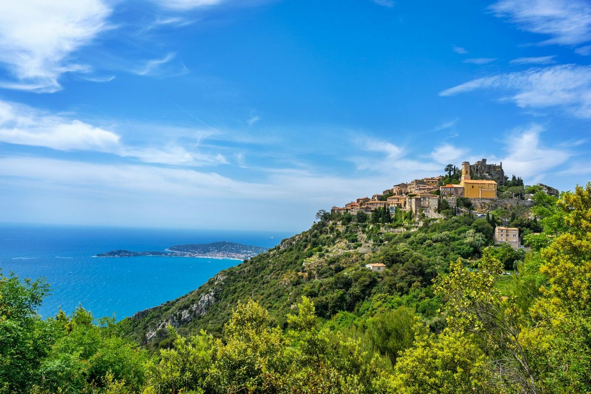 Garden greenery on the hillside above the Eze coastline