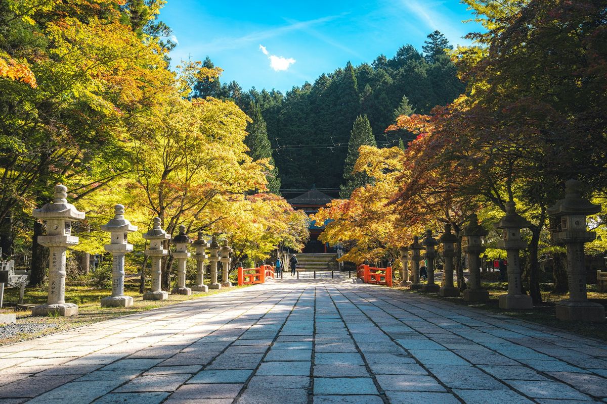 Stone lantern path through Okunoin cemetery forest at Koyasan
