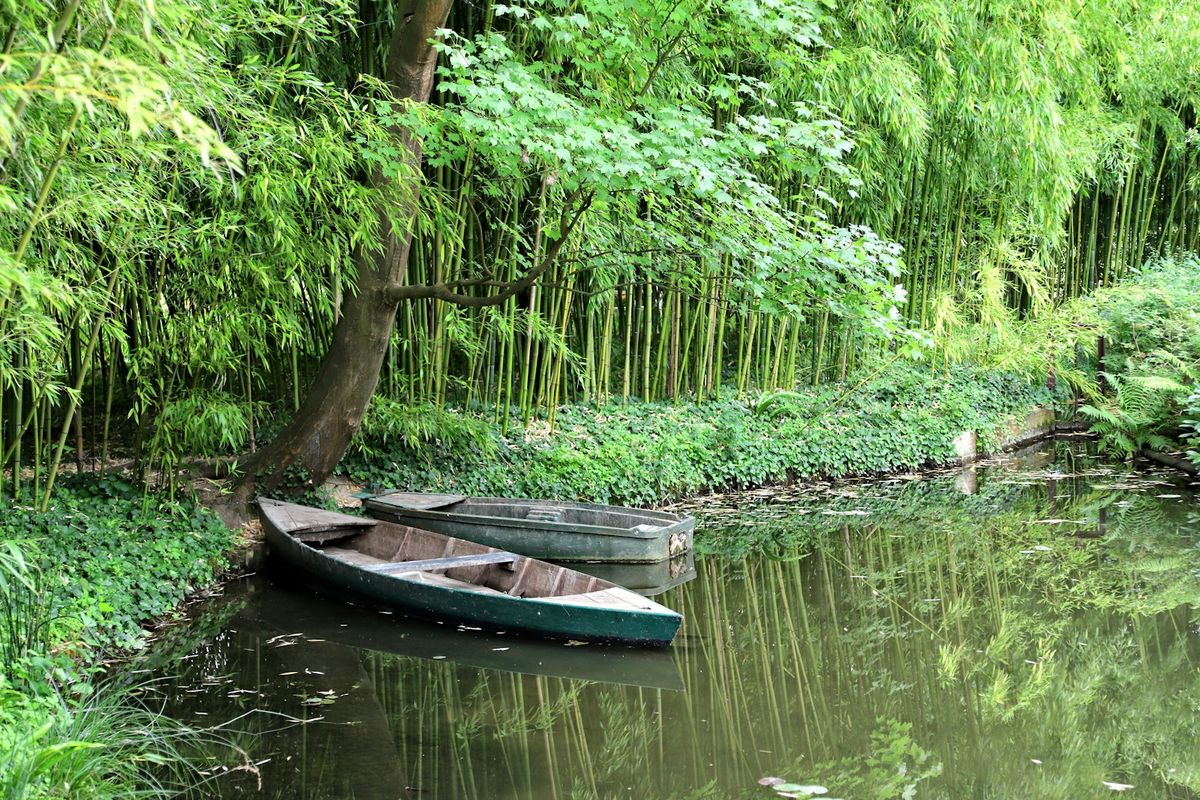 Small boats floating on the water lily pond in Monet's garden at Giverny