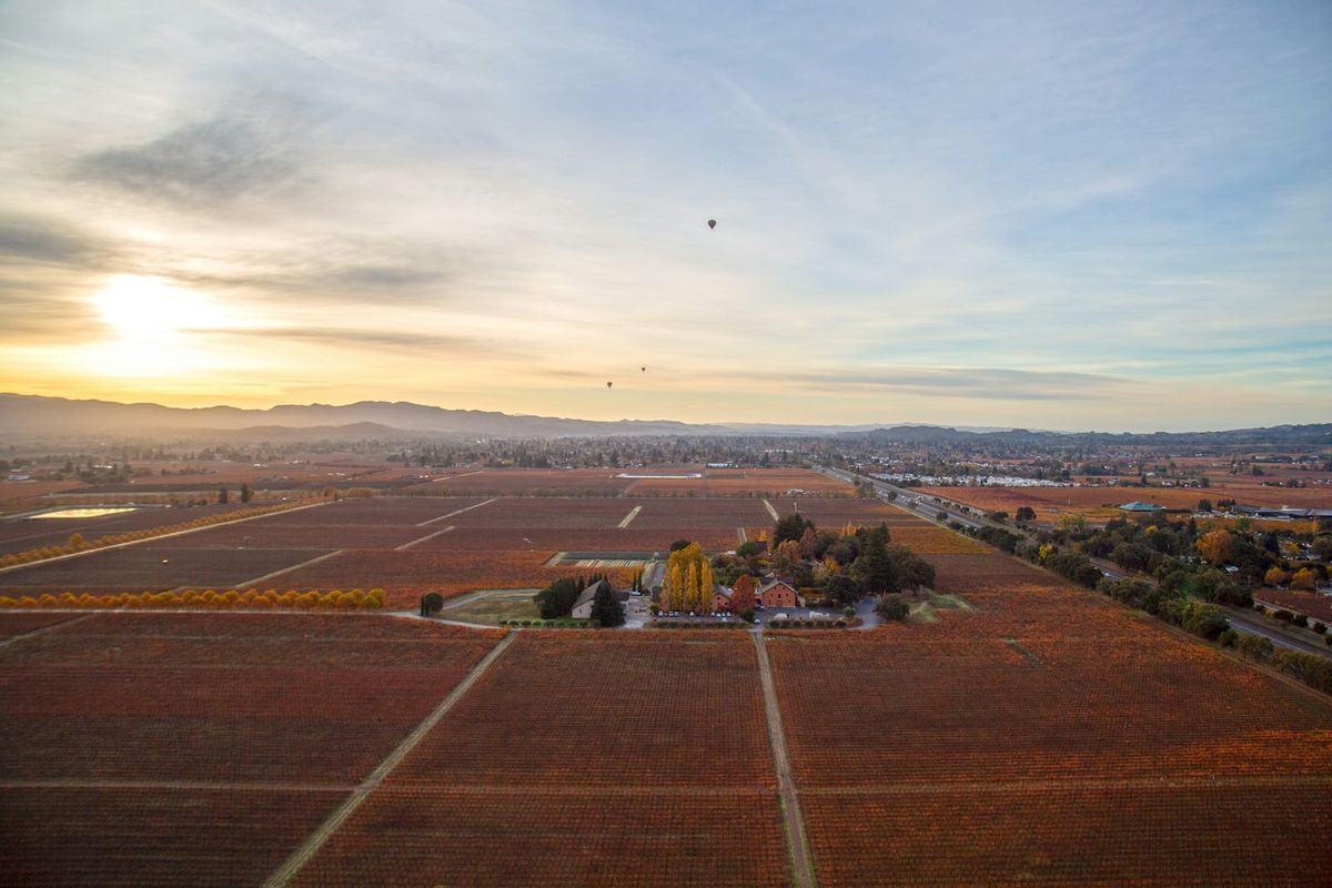 Hot air balloon over Napa Valley vineyards