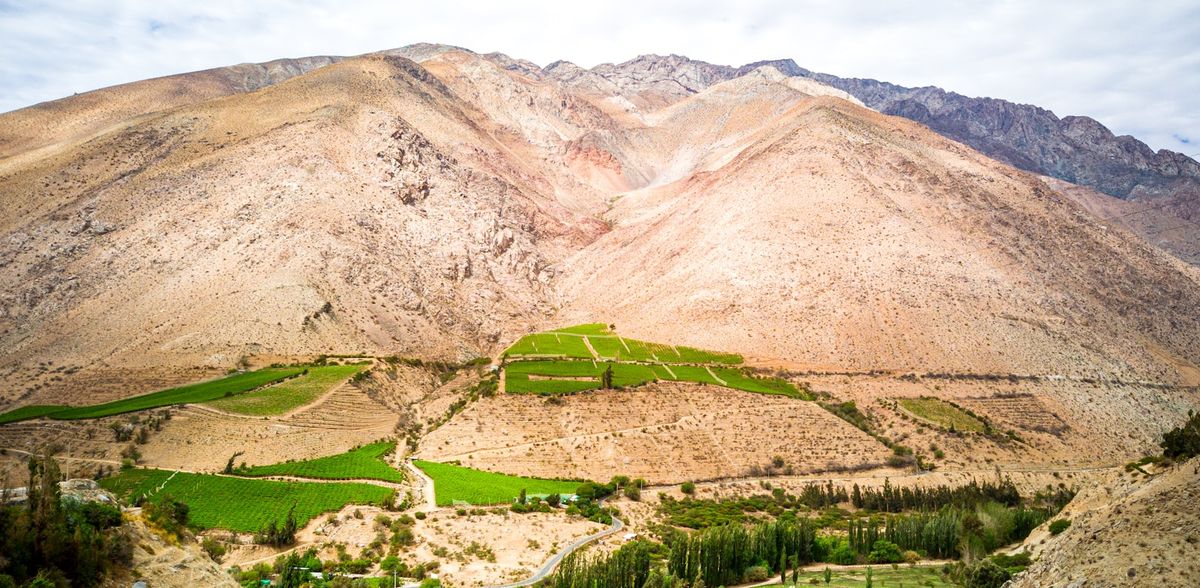 Green valley with mountains in the background, Chile wine country