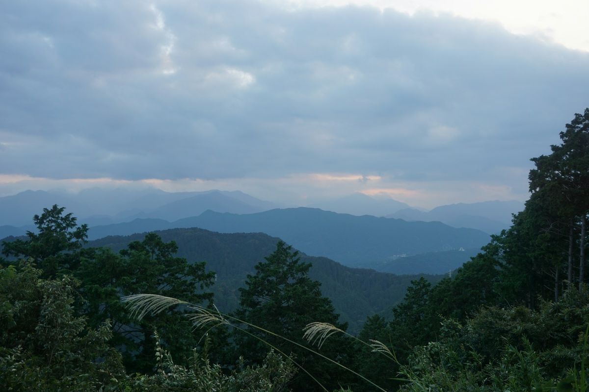 A forested mountain ridge on Mount Takao near Tokyo, Japan