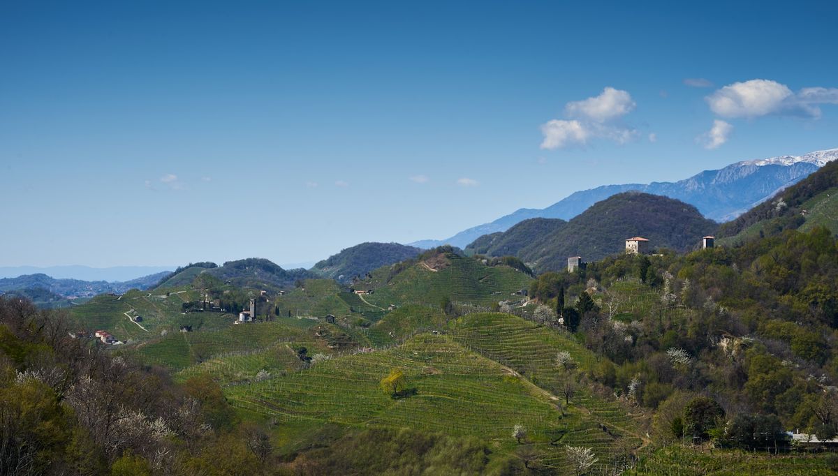 Green valley and vineyards in the Prosecco hills near Valdobbiadene