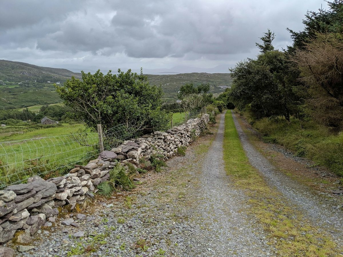 Gravel road through green Irish countryside with a stone wall