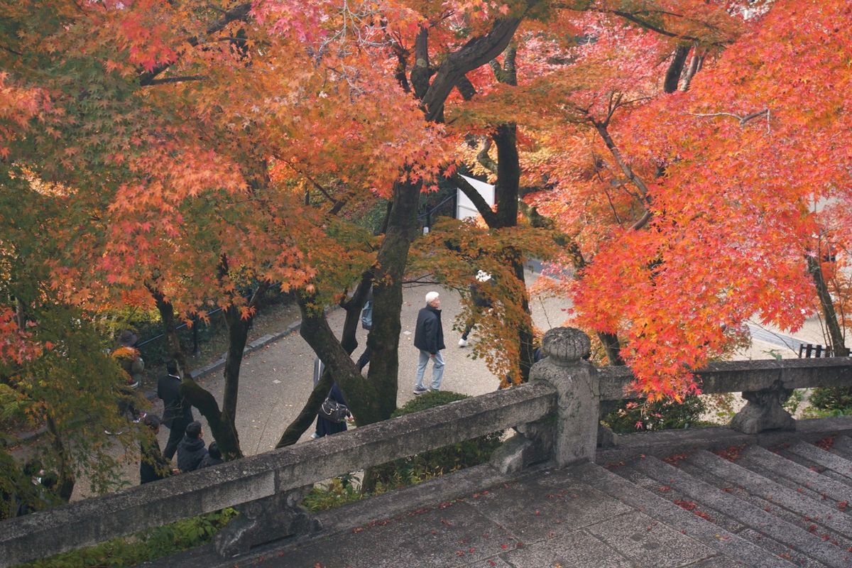Person standing on a bridge surrounded by orange autumn foliage in Japan