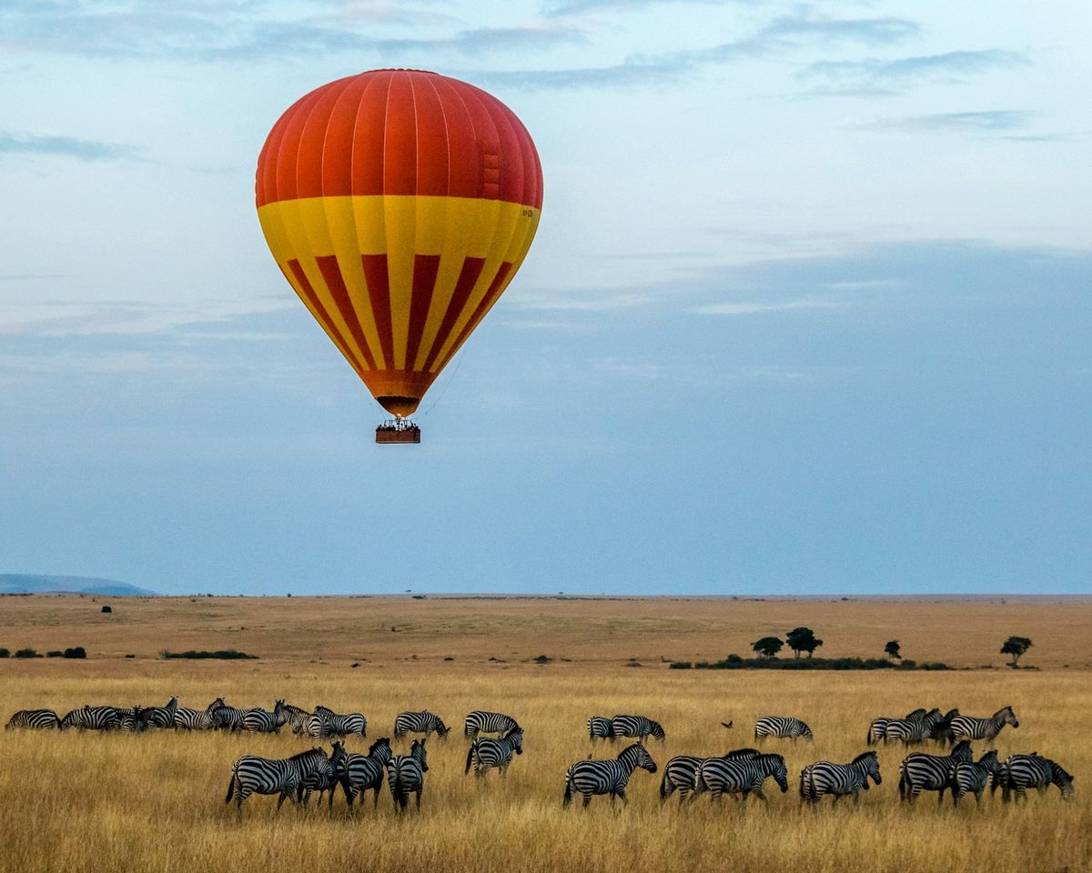 Hot air balloon safari over the Serengeti savannah with zebra herd