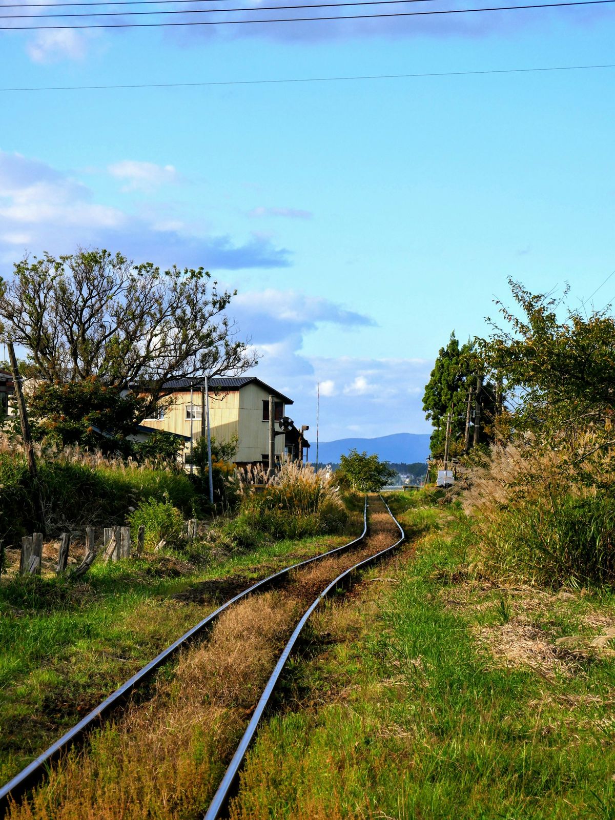 Train tracks winding through grassy Japanese countryside with trees and houses