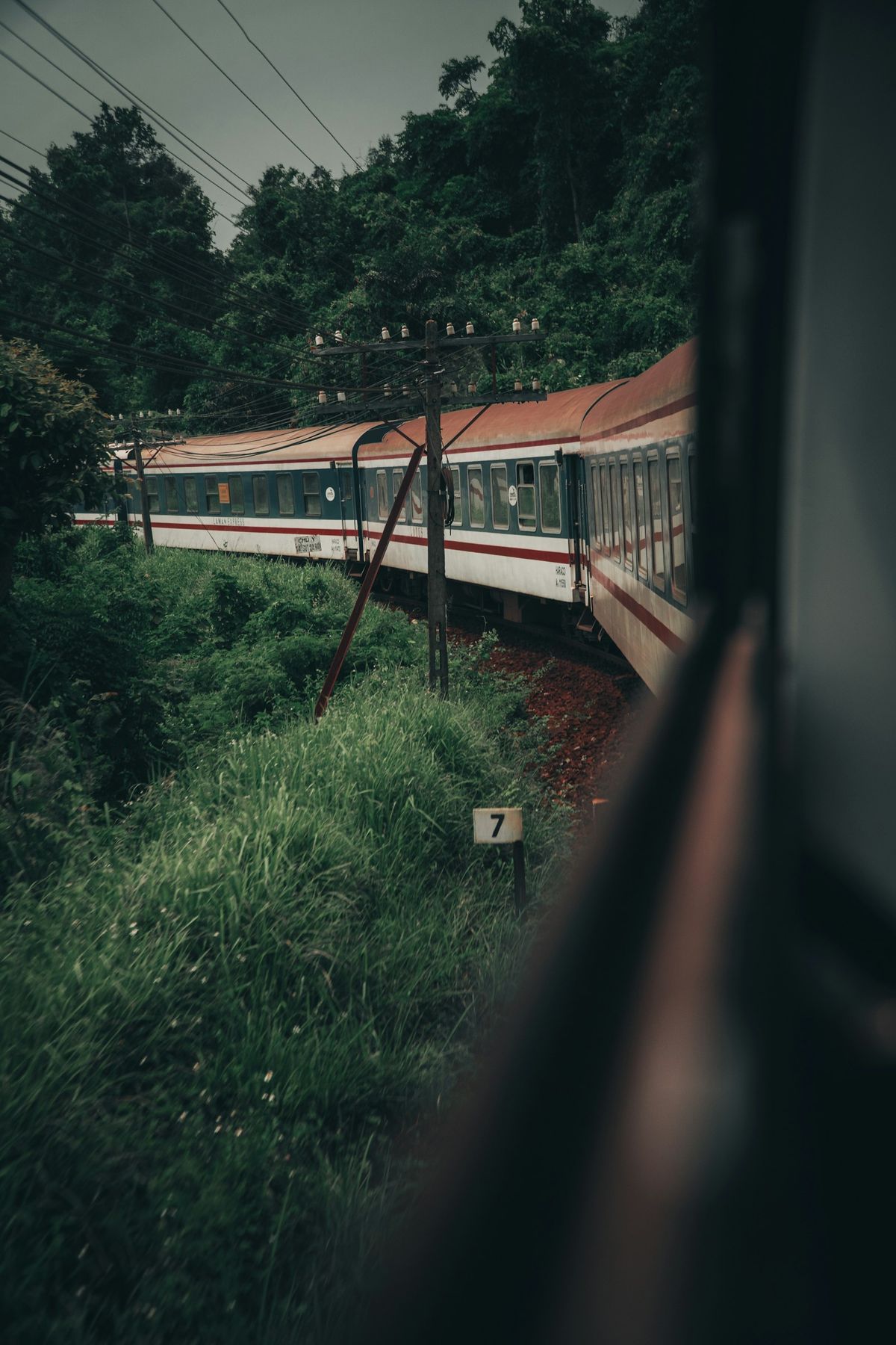 Train travelling through lush green forest landscape